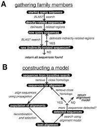 the probe search strategy a flow chart for the transitive