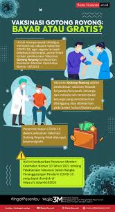 Vaksin sinopharm jadi kandidat utama karena sudah ready stok. Vaksinasi Gotong Royong Bayar Atau Gratis Infografis