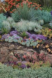 Rock Outcrop With Succulents Succulent Landscape Design Succulent Landscaping Rock Garden Landscaping