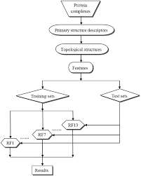 identifying functions of protein complexes based on topology