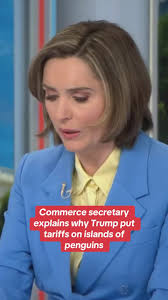 Commerce Secretary Howard Lutnick says President Trump put tariffs