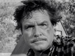 Tributes To Your Favorite Classic TV Stars