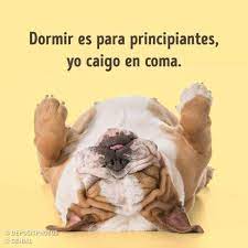 Pin De Eva Amalia En Poemas Mensajes De Buenas Noches Frases Comicas Buenas Noches