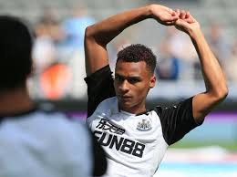 My github profile can be found in the navbar. Jacob Murphy Ready To Take His Chance At His Beloved Newcastle United The Independent The Independent