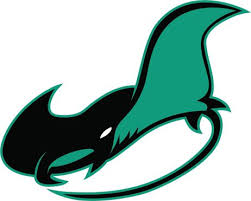 Manta Ray Vector Art Illustration