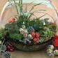 Holiday Terrariums with Blithewold's Horticulturists