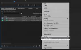 Check spelling or type a new query. How To Sync Audio And Video In Adobe Premiere Storyblocks