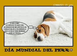 El último miércoles de abril de cada año celebramos el día internacional del perro guía, para conmemorar su importante papel que desempeñan para ayudar a las personas invidentes o con discapacidad visual que dependen de ellos a diario. E O9nqh7zd6rgm