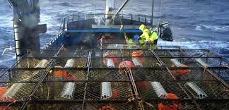 The American Society Of Cinematographers | Rough Seas: Deadliest Catch