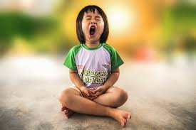 Image result for Echophenomena