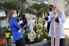 St gertrude intercede for my cat to jesus/god who created cats to be our affecionate pets and companions. Camp Zama Chaplain Blesses Community S Pets Article The United States Army