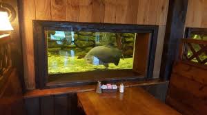 Fish tank coffee tables are great pieces of interior home decor. Fish Tank At End Of Dining Table Picture Of Fin Inn Grafton Tripadvisor