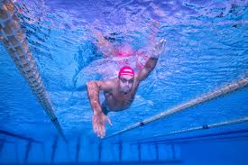 Gregorio paltrinieri sfonda gli argini di timori e riserve e sposta al centro del progetto tecnico anche la 10 chilometri di nuoto in acque libere. Gregorio Paltrinieri Moves From Morini To Antonelli As Olympic 1500m Champion Shifts Goals From Pool To Open Water Swimming World News Olympic 1500m Freestyle Champion Gregorio Paltrinieri Is To Split With