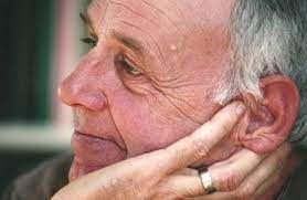 We did not find results for: Wendell Berry Poetry Foundation