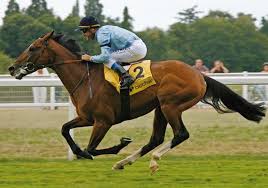 Bigimage 53 Jpg 600 420 Pur Sang Anglais Cheval Pur Sang