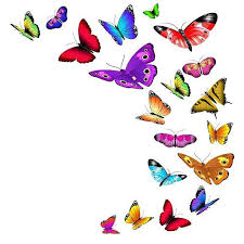 Flying Butterflies Butterfly Butterfly Clip Art Butterfly Illustration Butterfly Drawing