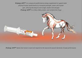 My understanding is that food that we eat is digested into atp and other nutrients, why not just ingest/inject pure atp? Prolong Vepona