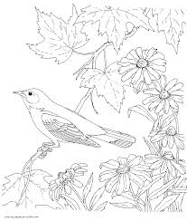 Check out 20 cute bird coloring pages printable for your kids here Printable Bird Coloring Book For Adults Coloring Pages Printable Com