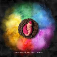 Free stock photo of baby backdrop for newborn floral baby photo backdrops free download is free hd wallpaper was upload by admin. Newborn Rainbow Baby Digital Backdrop 20 X 20 Squijoo Com