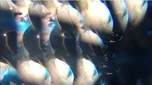 Maybe you would like to learn more about one of these? Vanity Project Real Life