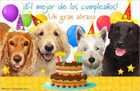 Feliz cumpleaños con perros feliz cumpleaños gatos. Pin En Alimentacion Bebe 9 Meses