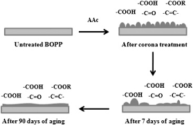 Surface Modification Of Biaxially Oriented Polypropylene Bopp Film Using Acrylic Acid Corona Treatment Part Ii Long Term Aging Surface Properties Sciencedirect