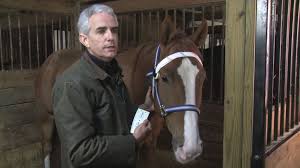 As noted by other authors, there is generally a lack of compelling. Fisher Wallace Diy Tdcs