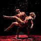 Pilobolus