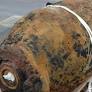 Germany Faces Ongoing Threat from Unexploded WWII Ordnance Amid Climate Challenges