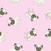 Pug pic 10 80 px 10 80 px. Https Encrypted Tbn0 Gstatic Com Images Q Tbn And9gcsuamjfsrxwzwfksmyrxxwnicmumttcx3xnjwhziwryle1uhn8w Usqp Cau