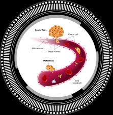 The samples may show cancer cells, proteins or other. Acecgt Diagnostic