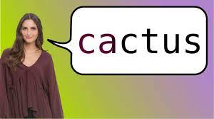 Watch for signs in the leaves or stems that show that the plant is getting stressed due to a lack of or. How To Say Cactus In French Youtube