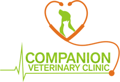 1236 e main st, salem (va), 24153, united states. Fear Free Certified South Edmonton Companion Veterinary Clinic