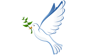 Large png 2400px small png 300px. Dove With Olive Branch Meaning And Symbolism