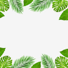 Summer Palm Tree Tropical Flowers Border And Frame Vector And Png Seni Kaligrafi Kartu Pernikahan Seni