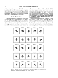 Lecture from the course neural networks for machine learning, as taught by geoffrey hinton (university of toronto) on coursera in 2012. Http Psych Fullerton Edu Jpeissig Peissig 2000 Pdf