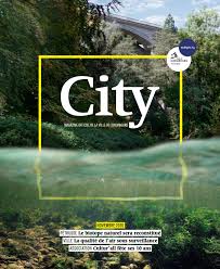 Comment choisir votre étagère et rangement pour votre enfant ? City Novembre 2020 By Maison Moderne Issuu