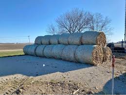 Maybe you would like to learn more about one of these? New And Used Corn Stalks For Sale Facebook Marketplace Facebook
