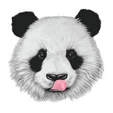 Art Dessin