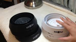 All of coupon codes are verified and tested today! How To Use Bed Bug Traps Get Rid Of Your Bed Bug Problem Using 100 Eco Friendly Bed Bugs Trap Youtube