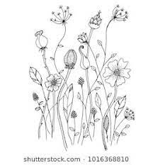 Winter plants wildflowers tea towel hand embroidery pattern | etsy. Hand Drawn Sketch Style Wild Flowers Vector Illustration Wildflower Drawing Flower Line Drawings Flower Drawing