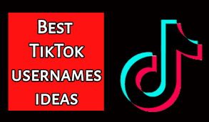 Funny usernames are better than boring, basic ones. 3423 Best Tiktok Names Username Ideas 2020 For Boys And Girls Tik Tok Tips