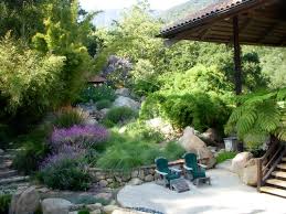 We did not find results for: Great Design Plant Pink Muhly Grass
