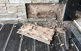 See more ideas about pest control, pests, control. Blog How To Protect Your North Dallas Home From Termites This Spring
