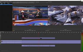 Olive Video Editor 0 2 0 Nightly Free Download Videohelp