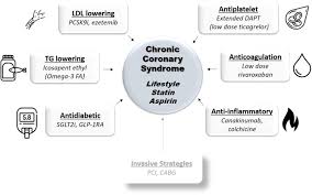 Removing Stable And Adding Precision To Chronic Coronary Artery Disease International Journal Of Cardiology