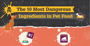 Although Some Ingredients Are Approved By The Aafco Not All Are Healthy For Your Dog Check Out The Infographic On The T Dog Food Recipes Bad Dog Pet Wellness