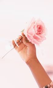 Maybe you would like to learn more about one of these? 750 Rose In Hand Pictures Download Free Images On Unsplash