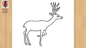 How to draw deer antlers easy. How To Draw A Deer Drawing Easy Antlers Sketch Step By Step Outline Art Youtube