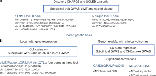 GWAS and colocalization analyses implicate carotid intima-media thickness  and carotid plaque loci in cardiovascular outcomes | Nature Communications